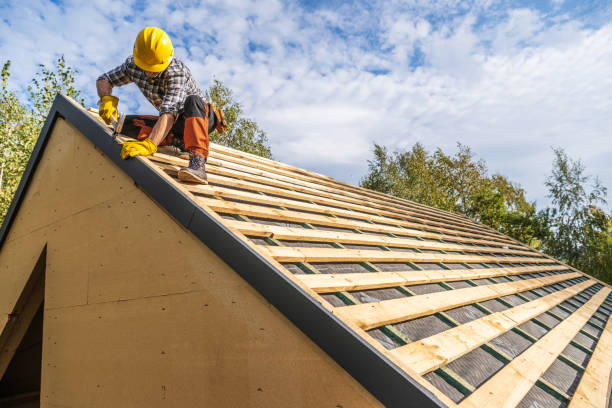 Best Roof Waterproofing Services  in Lochbuie, CO