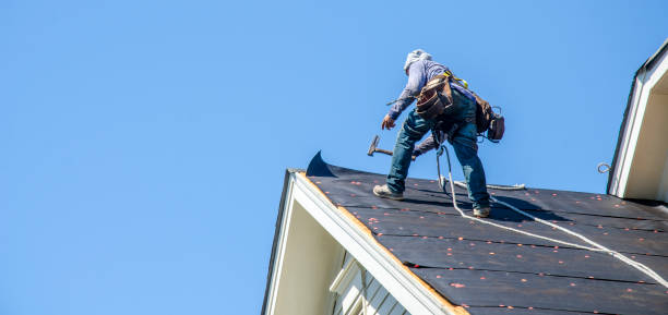 Professional Roofing Contractor in Lochbuie, CO